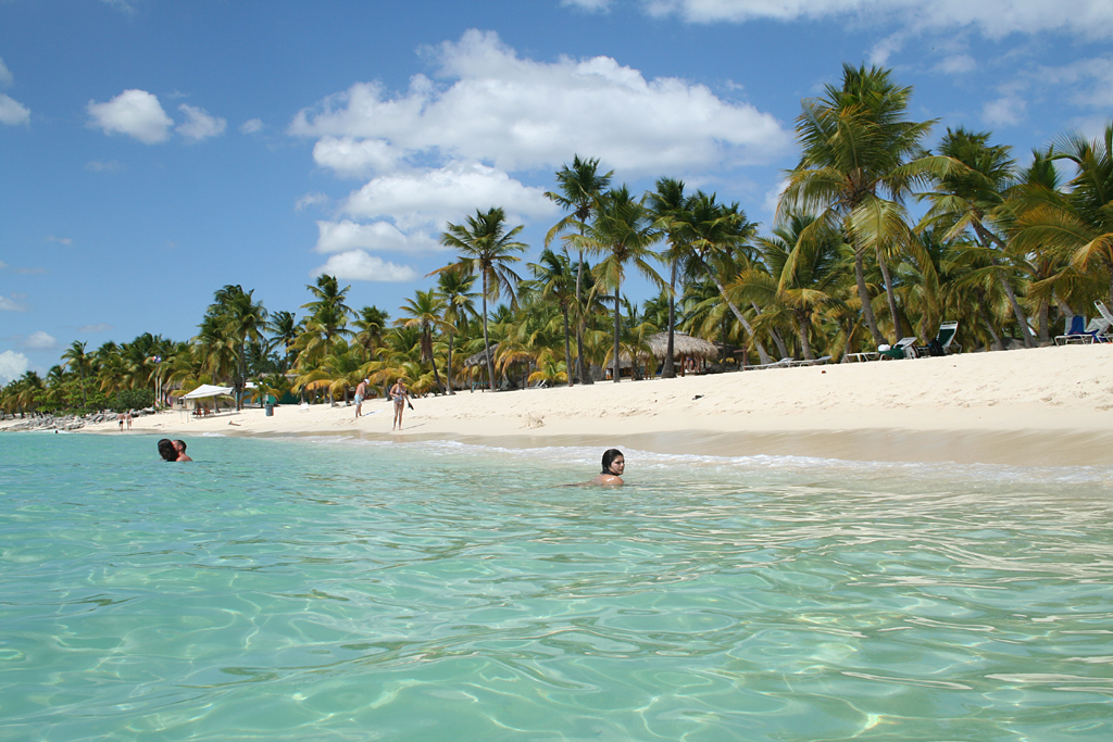 fixer isla catalina